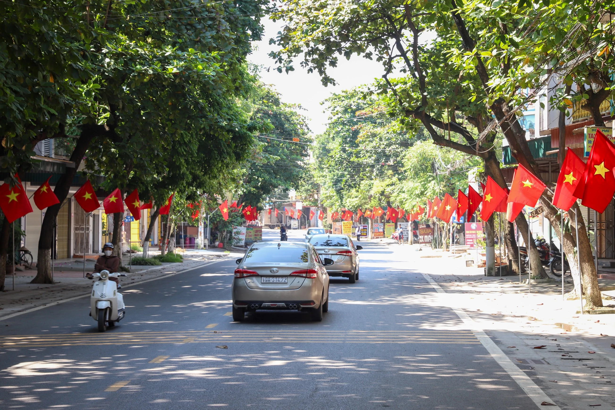 Brilliant flying flags to celebrate National Independence Day