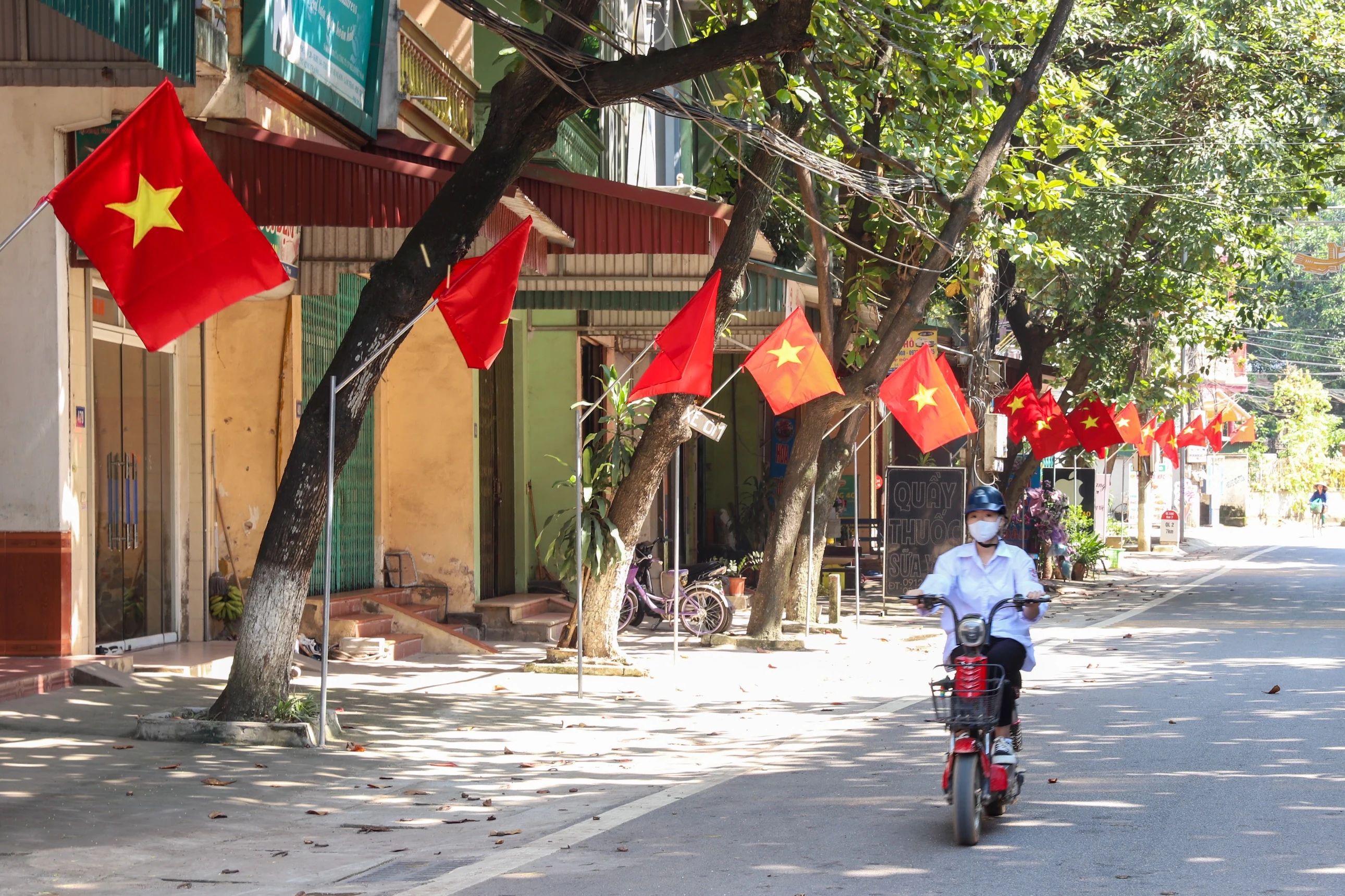 Brilliant flying flags to celebrate National Independence Day