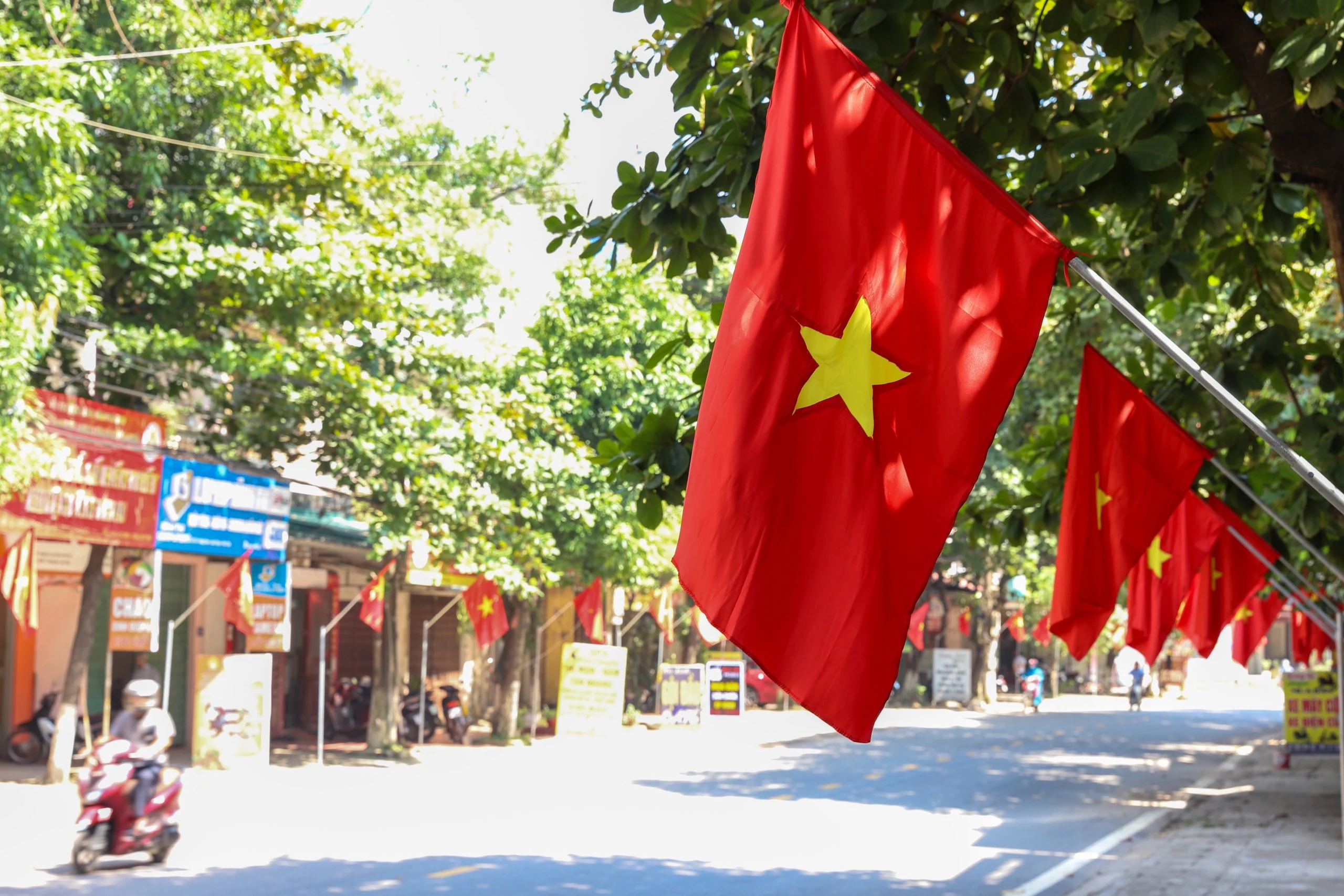 Brilliant flying flags to celebrate National Independence Day