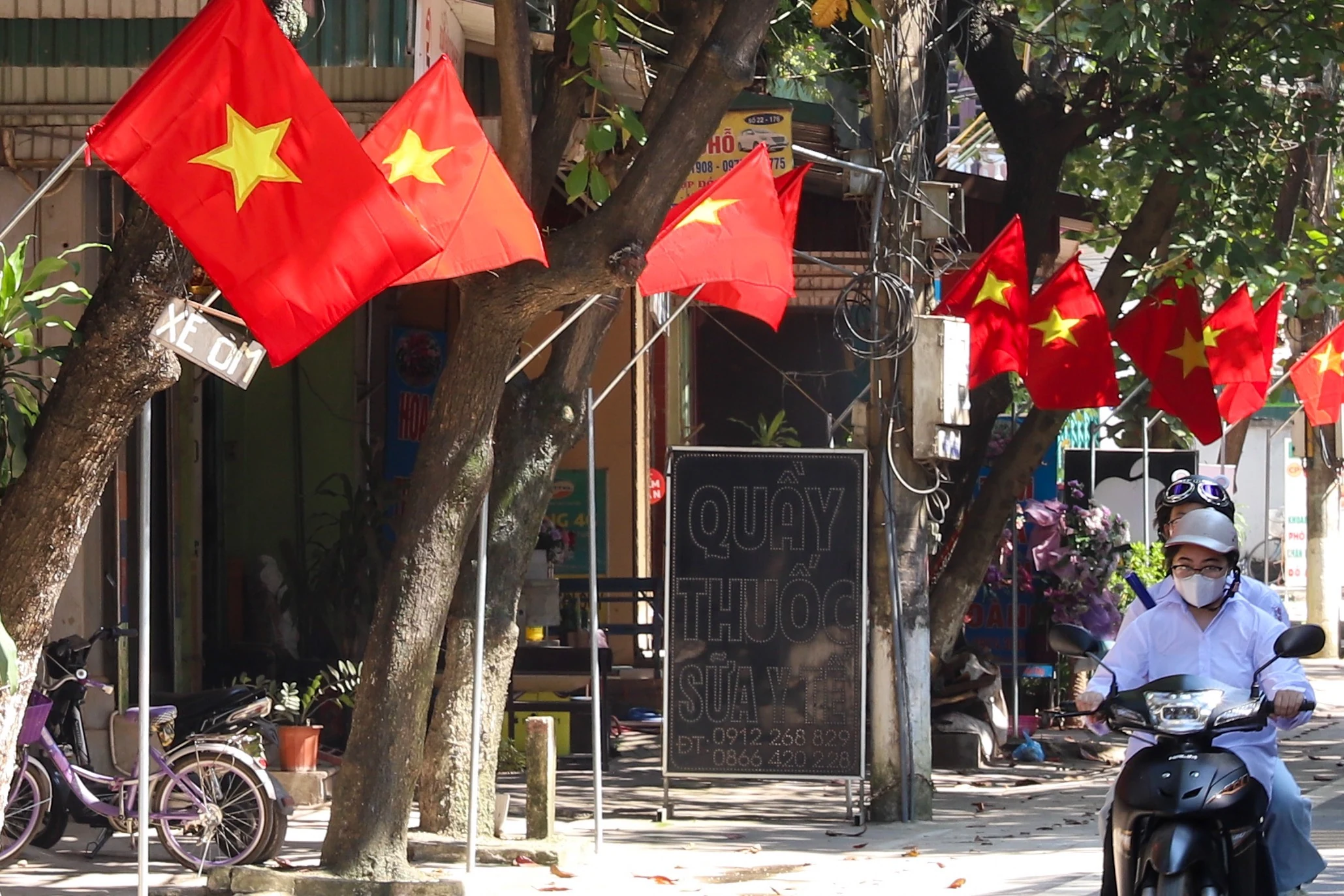 Brilliant flying flags to celebrate National Independence Day
