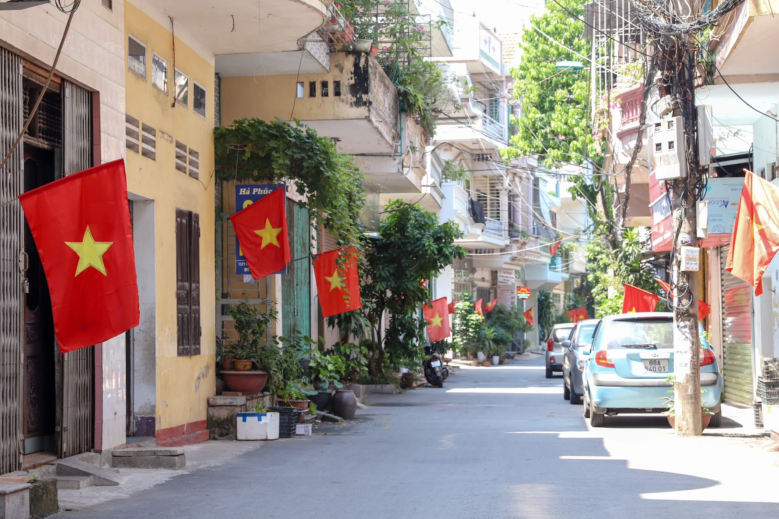 Brilliant flying flags to celebrate National Independence Day