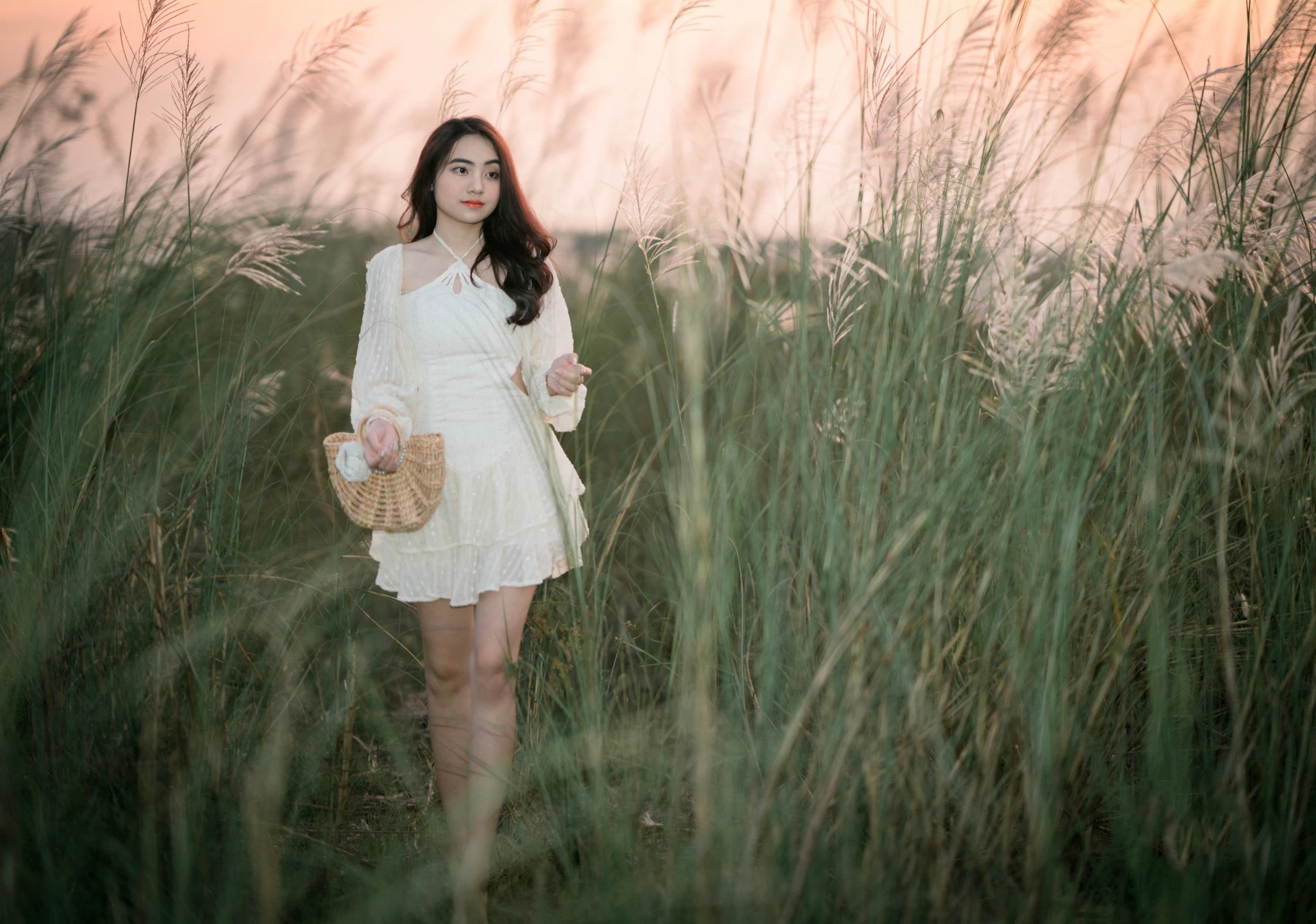 The colossal season of white reeds