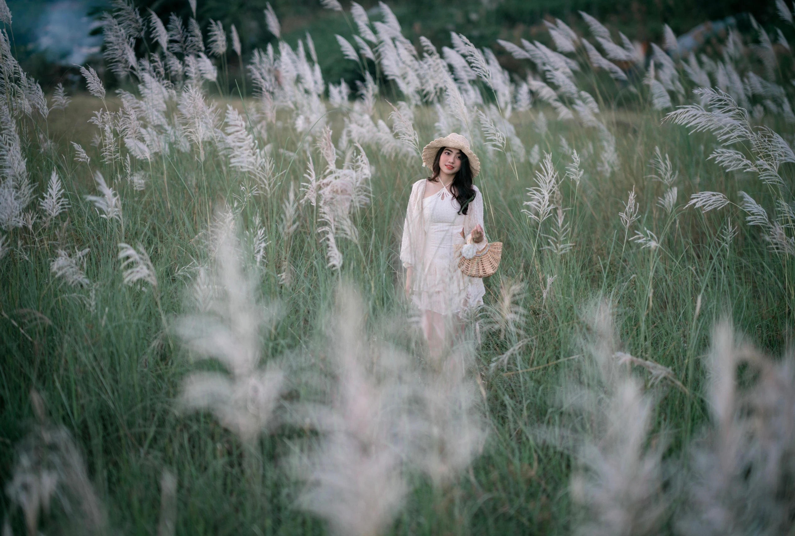 The colossal season of white reeds
