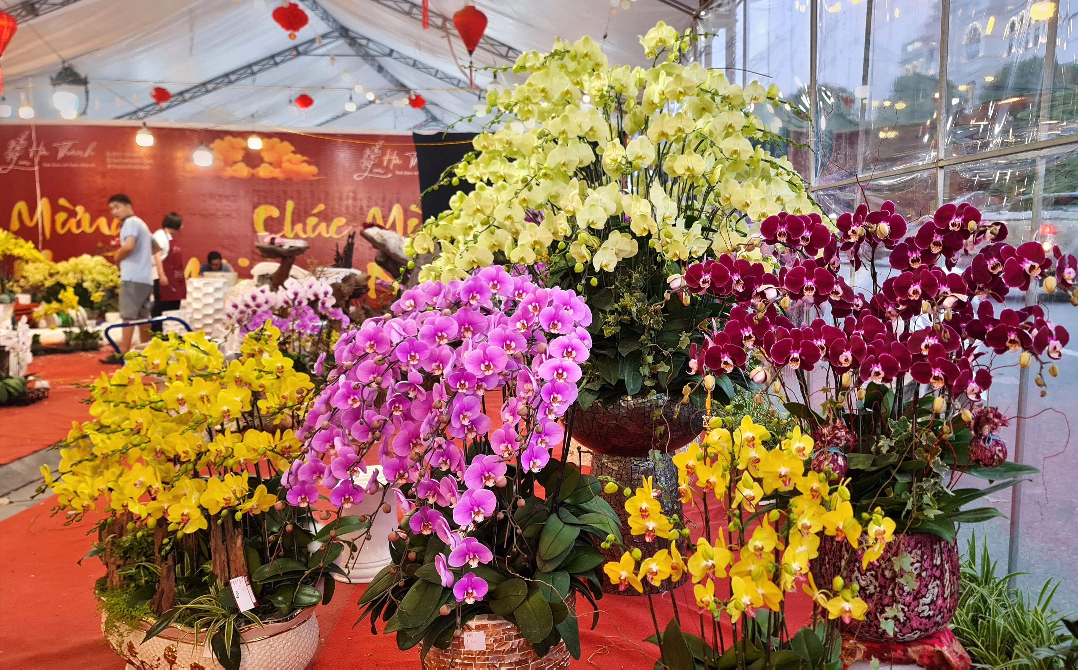 Tet Flower Market