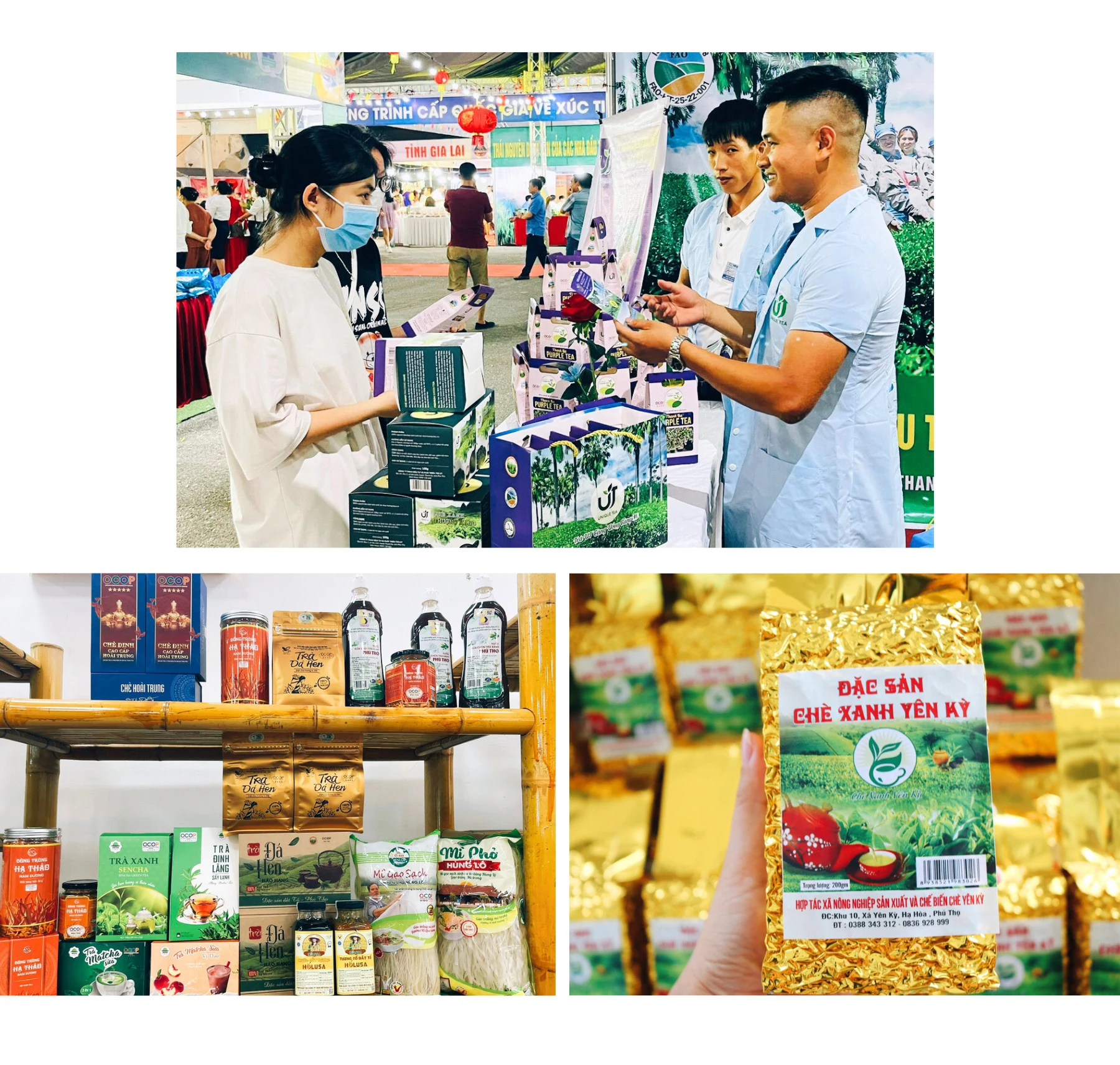 Develop Phu Tho’s tea brand