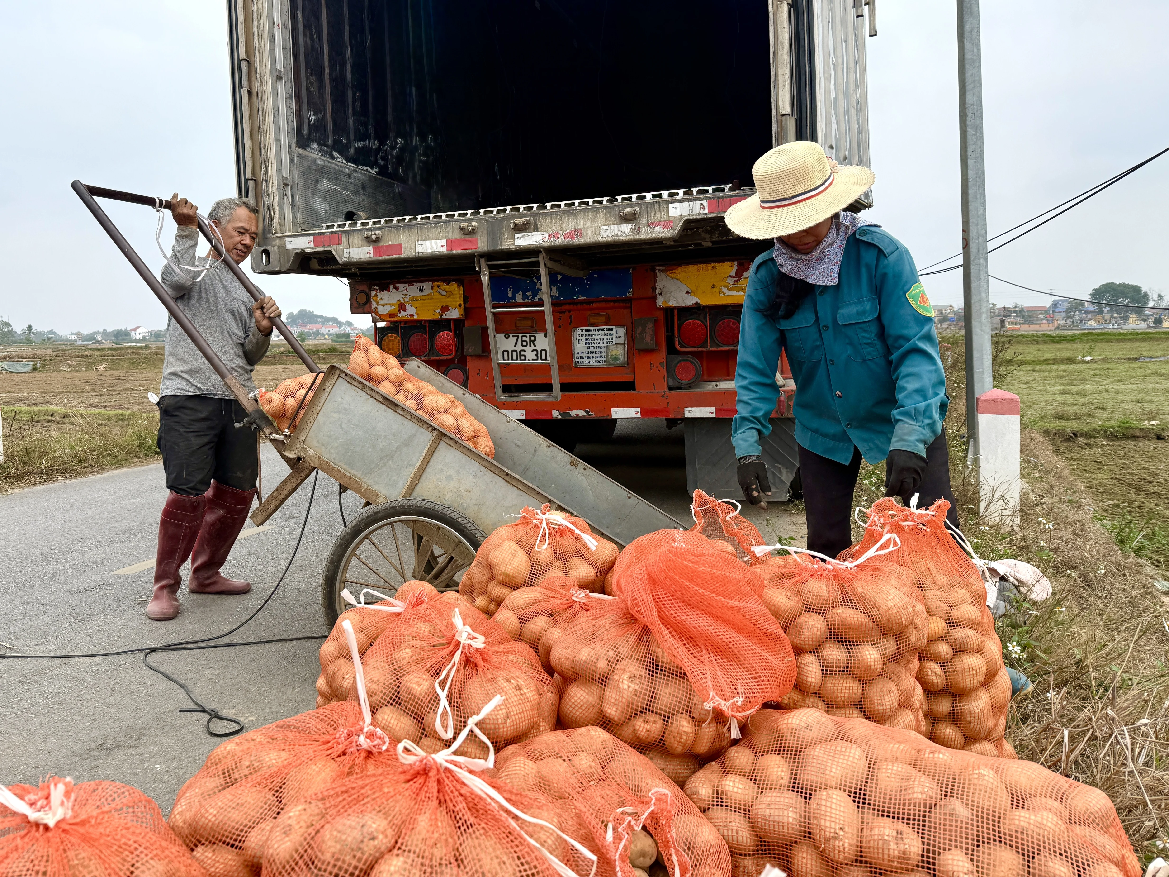 Lam Thao: A model for suburban commodity agriculture
