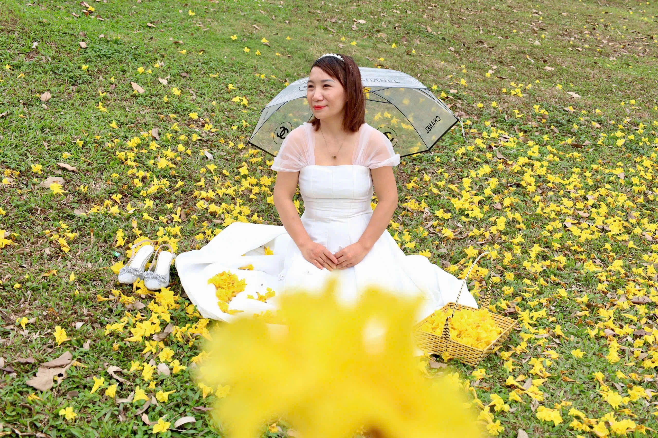 The Colors of Flowers on the Streets