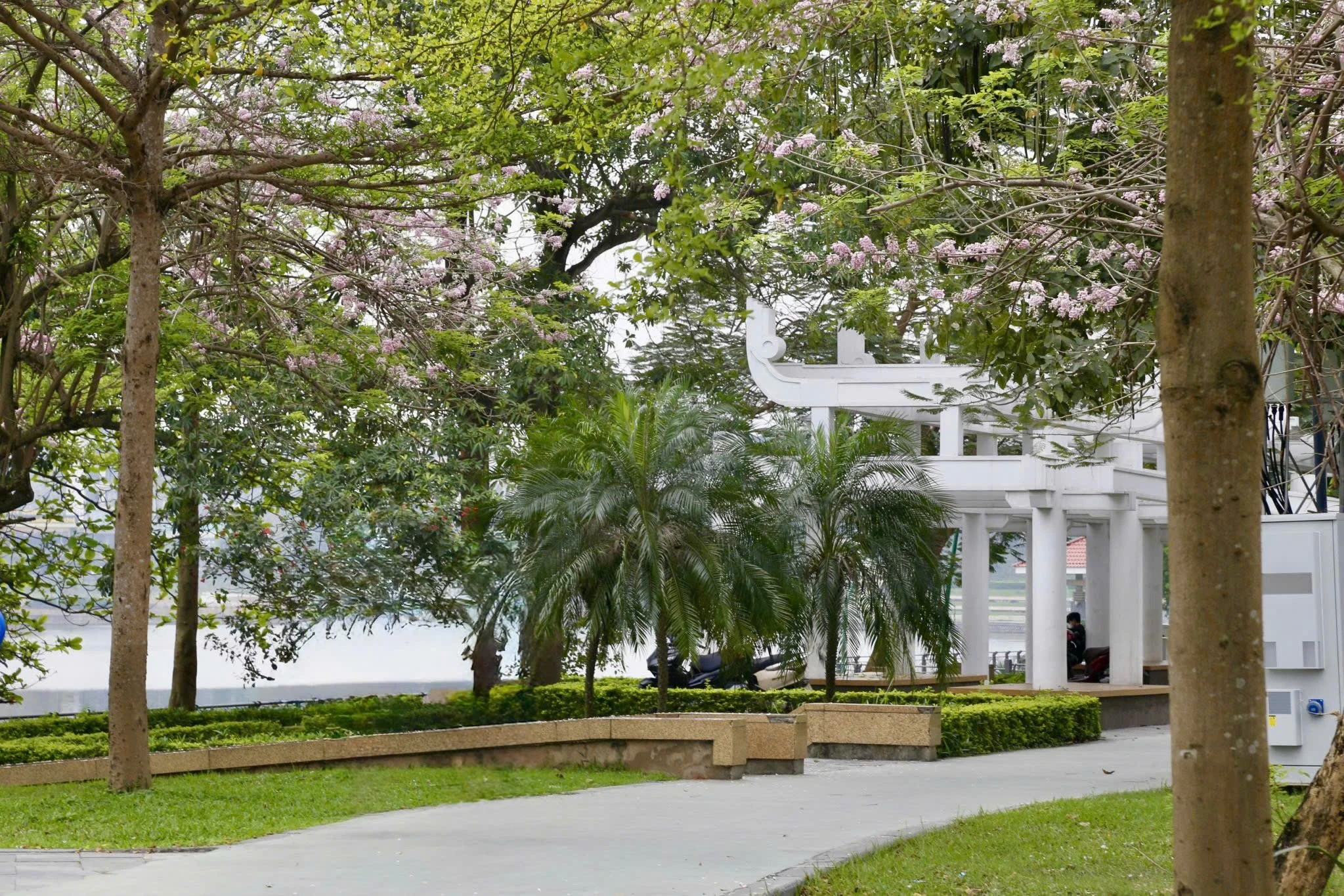 The Colors of Flowers on the Streets