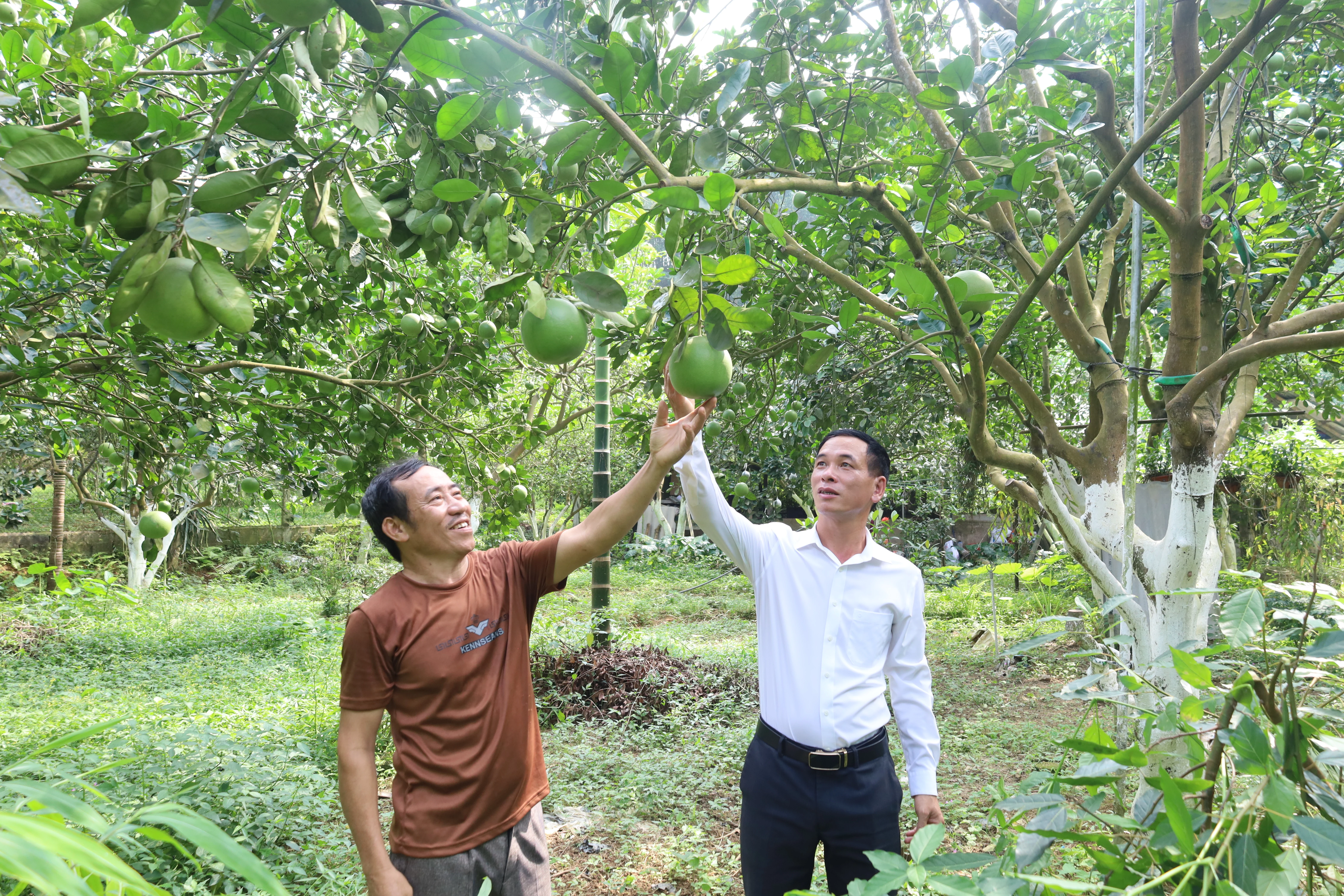 Turning local specialties into OCOP products