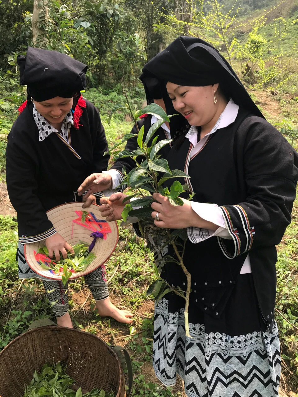“Slow living” in Sung village: Where time stands still