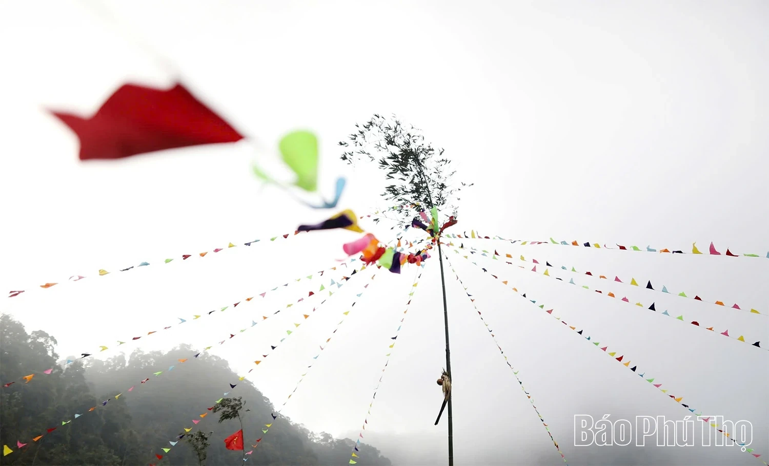 Phu Tho Tourism Shines from the Depth of Cultural Heritage