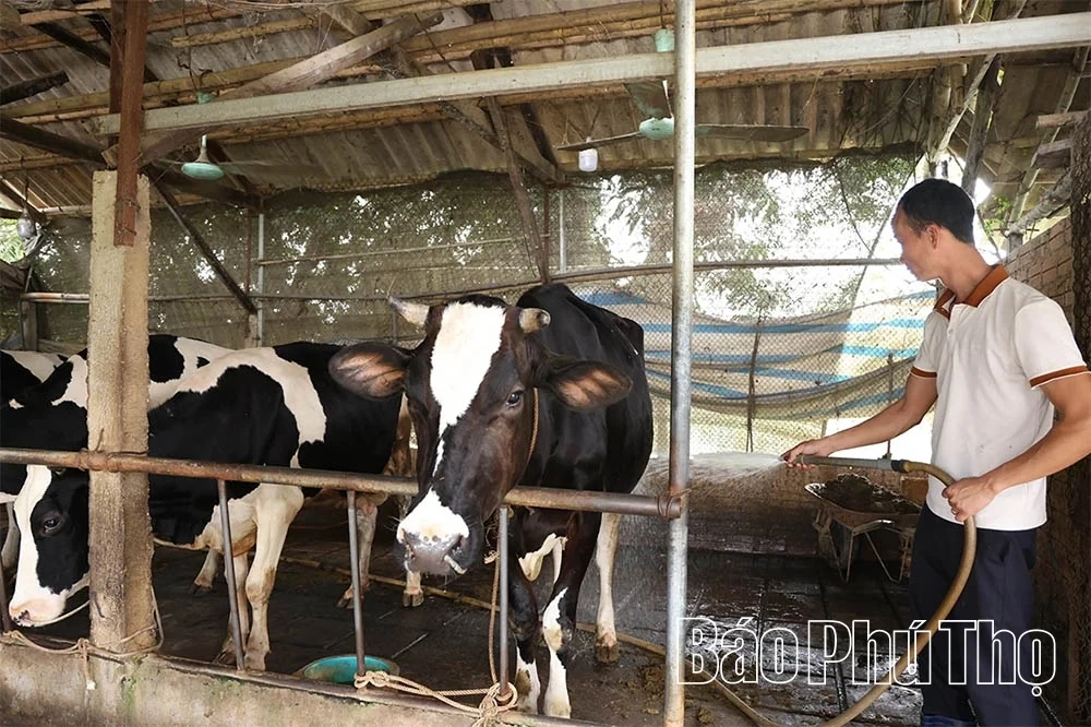 The Prosperous Countryside Along the Red River