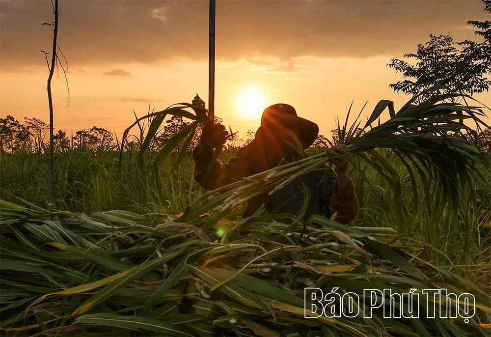 The Prosperous Countryside Along the Red River