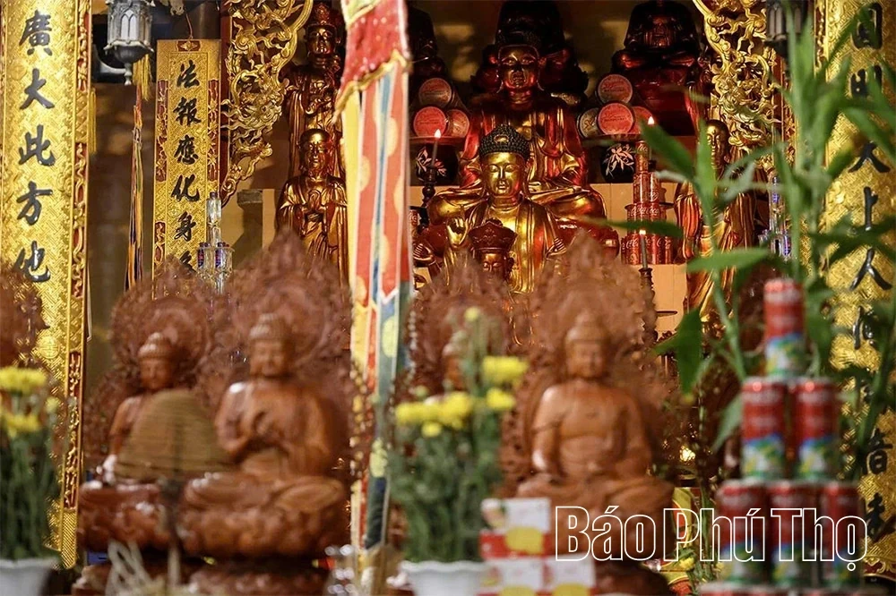 Dai Phuc Tu – A Sanctuary Preserving National Treasures