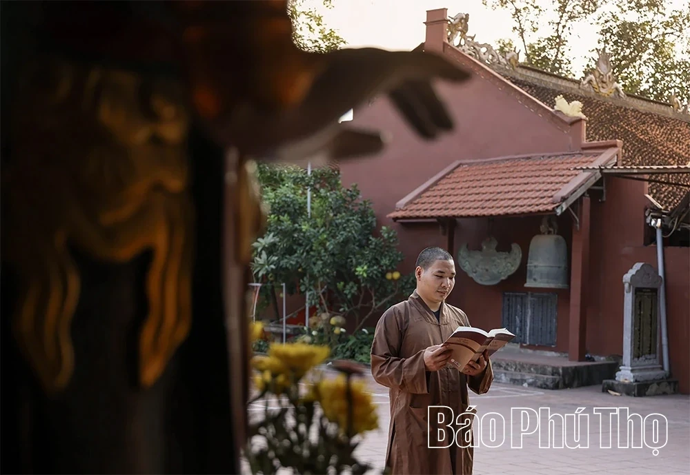 Dai Phuc Tu – A Sanctuary Preserving National Treasures