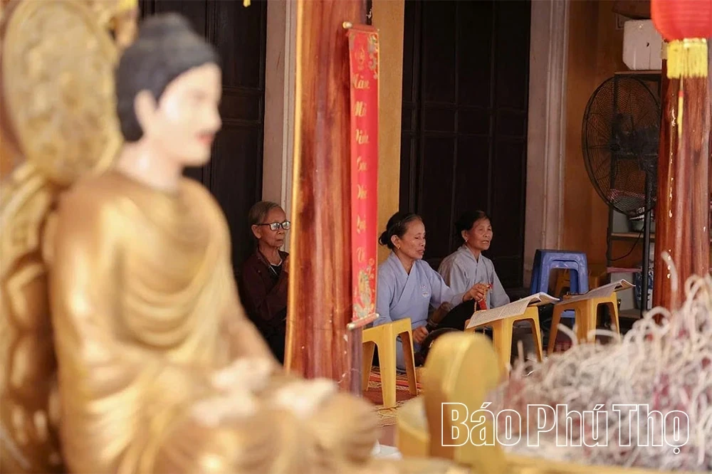 Dai Phuc Tu – A Sanctuary Preserving National Treasures