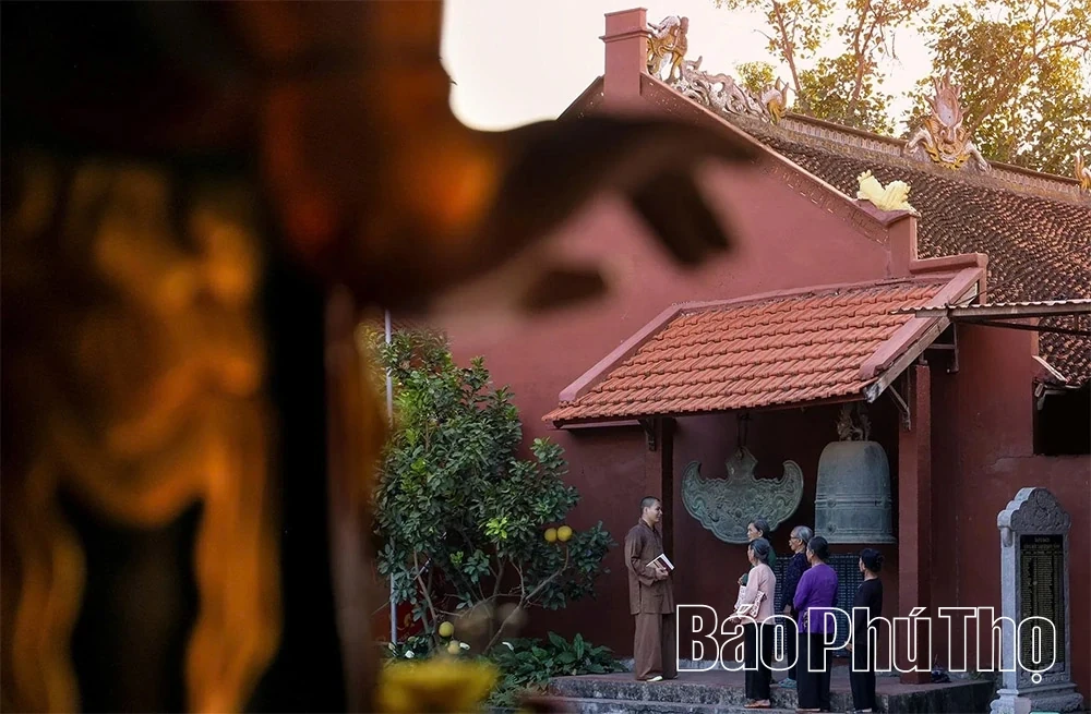Dai Phuc Tu – A Sanctuary Preserving National Treasures
