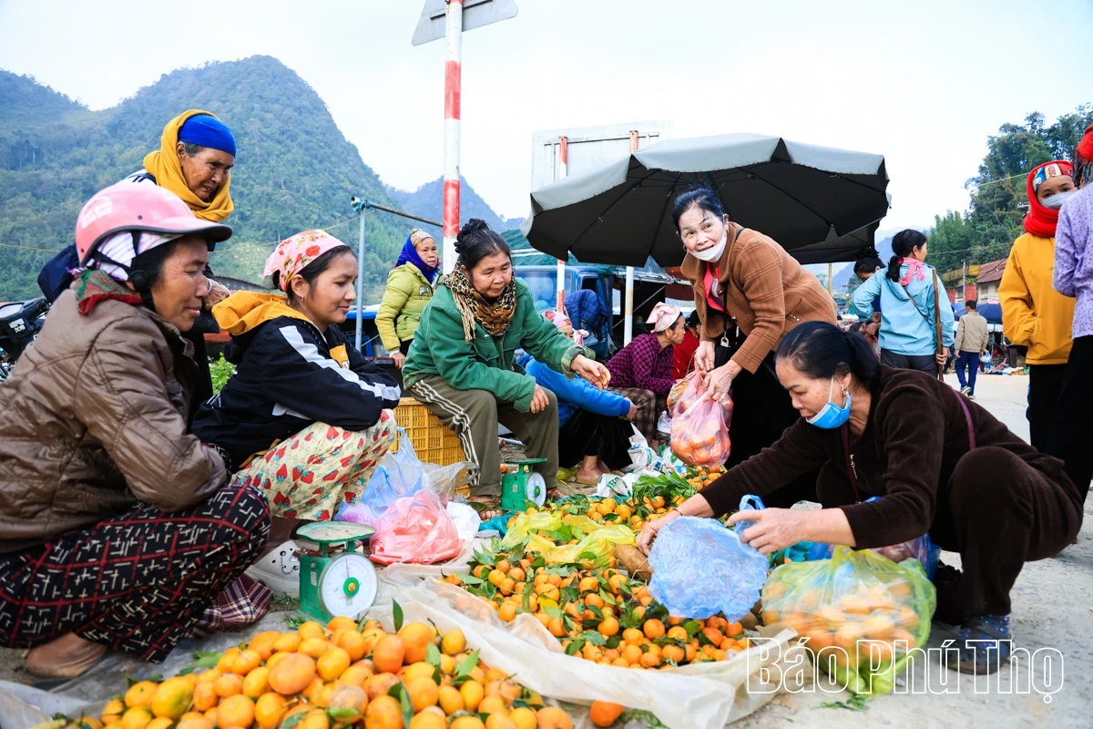 The Sweetness of Nam Son Ancient tangerines