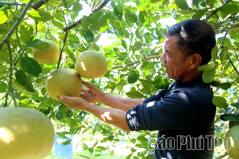 Boosting trade promotion to create new momentum in the expanded economic space