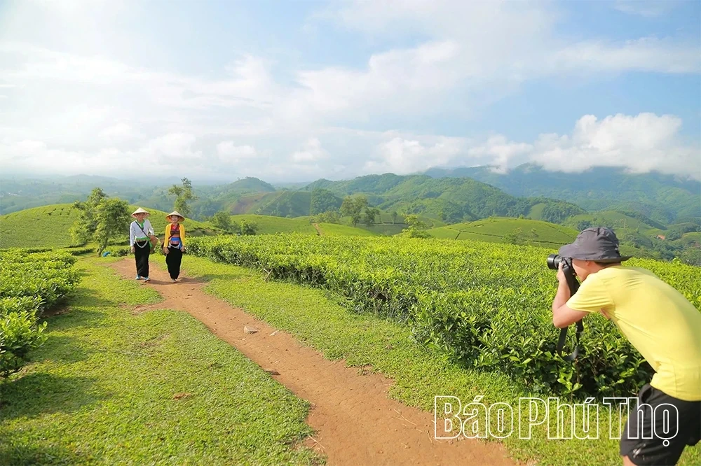 Long Coc: The Dream of Transformation