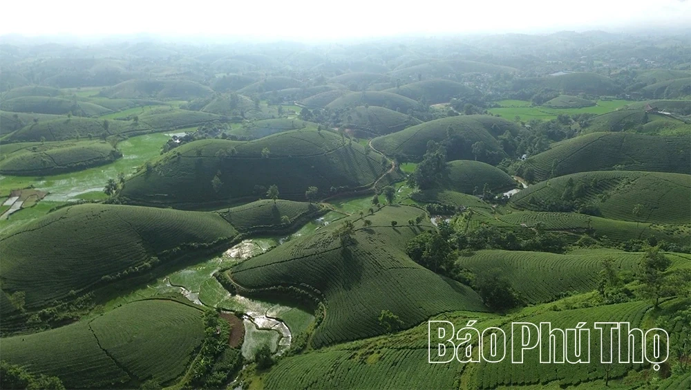 Long Coc: The Dream of Transformation