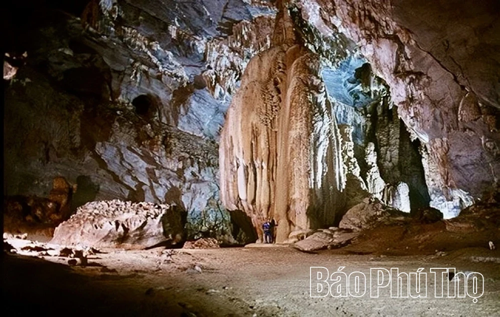 Tan Hoa - A place with untapped tourism potential