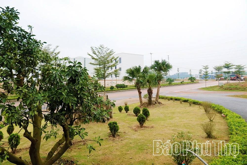 Breakthroughs from Integrated Connectivity and Modern Green Industry Mindset