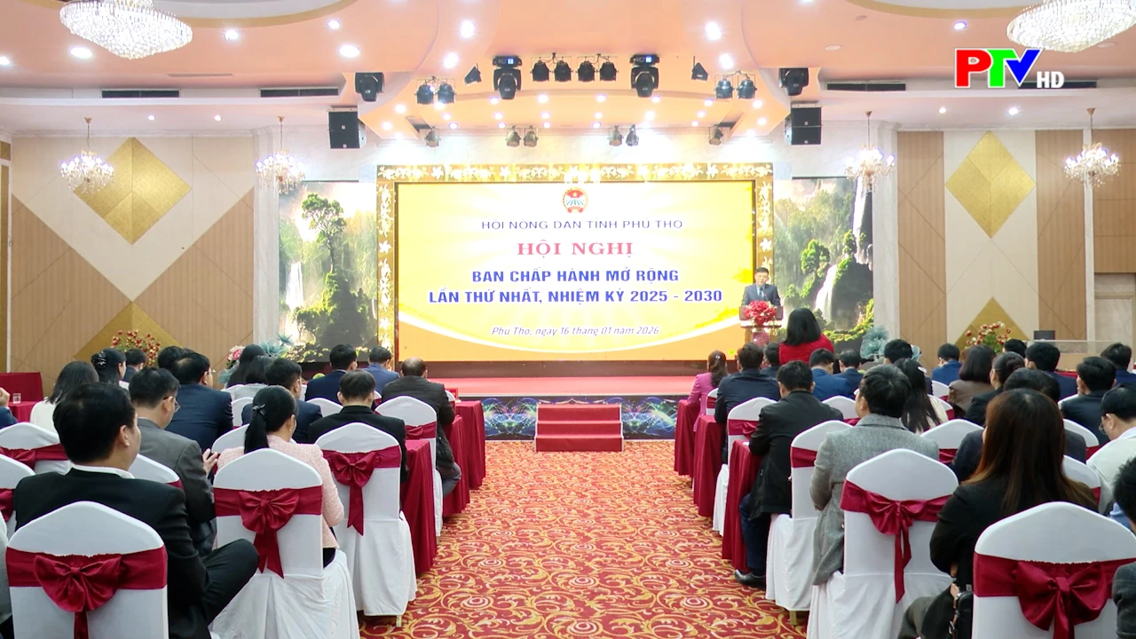 Phu Tho News on January 17, 2026