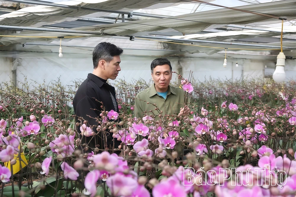 Orchid Garden Enters the Lunar New Year Season