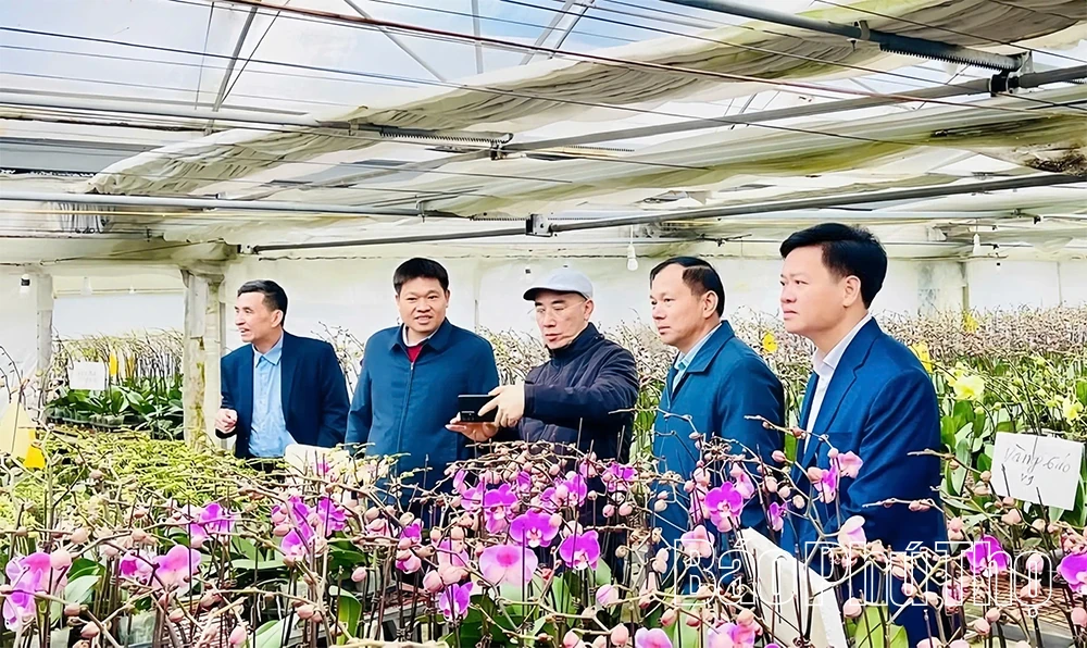 Orchid Garden Enters the Lunar New Year Season