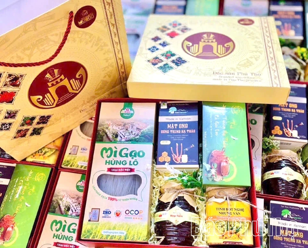 OCOP Products: When Local Essence Becomes a Development Driver