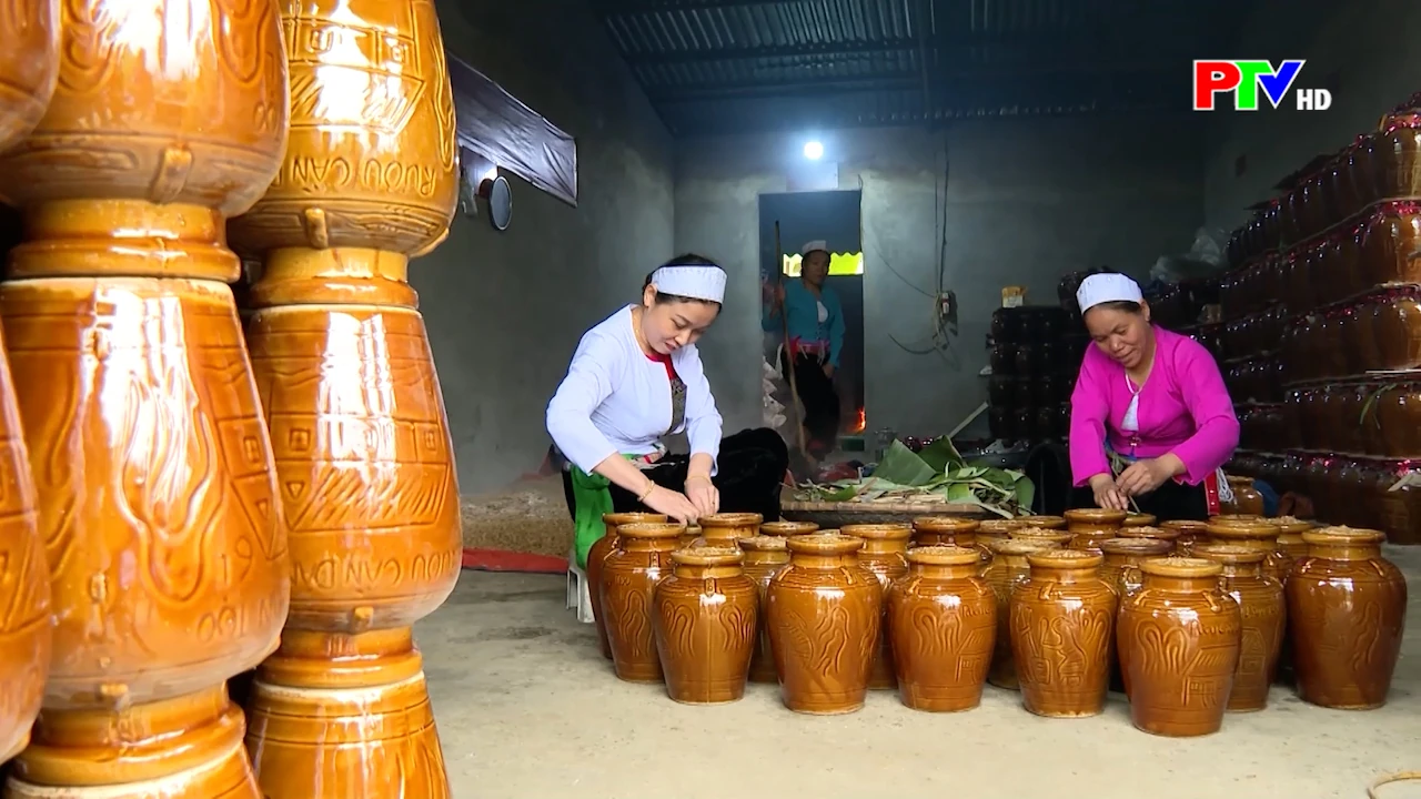 Phu Tho News on January 20, 2026