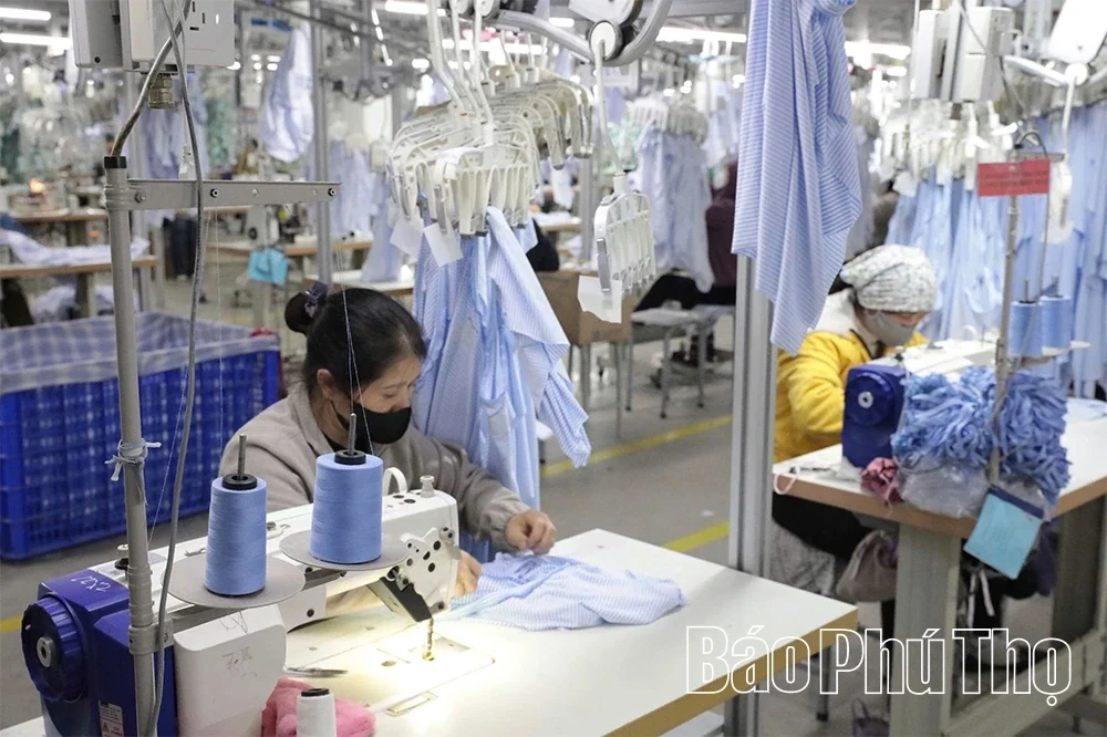 Sweet Fruit from Investment Attraction