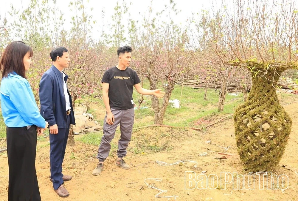 Unique Vase-Shaped Peach Blossoms for Tet