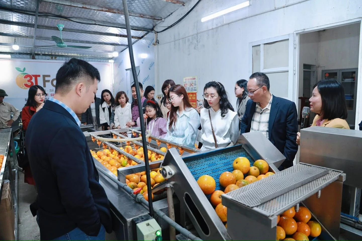 Sweetness from the Windy Land