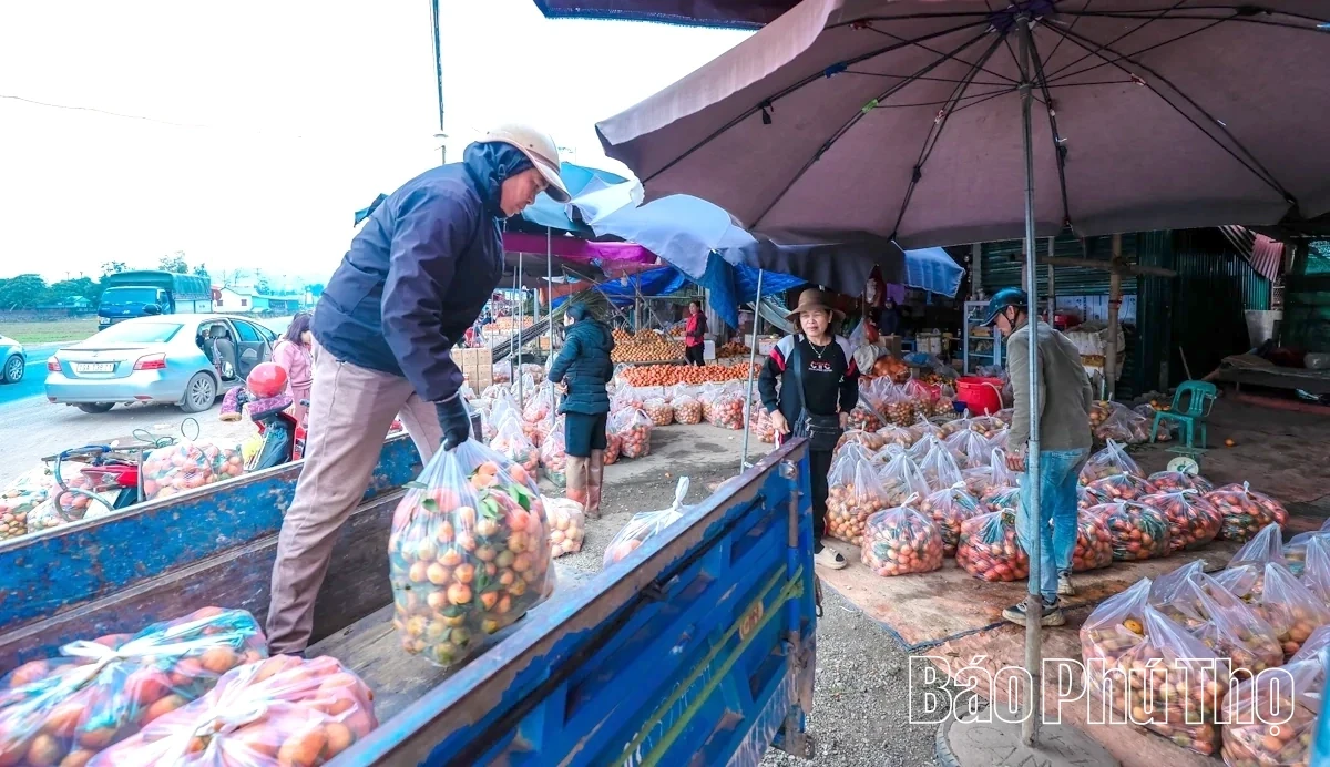 Bam Market – A Springtime Destination for Agricultural Specialties