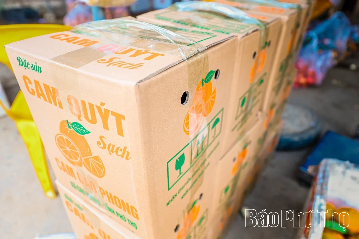 Bam Market – A Springtime Destination for Agricultural Specialties