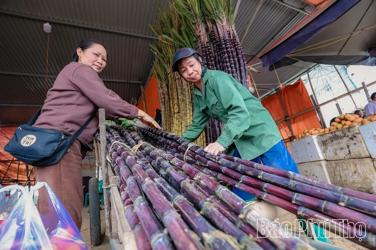 Bam Market – A Springtime Destination for Agricultural Specialties