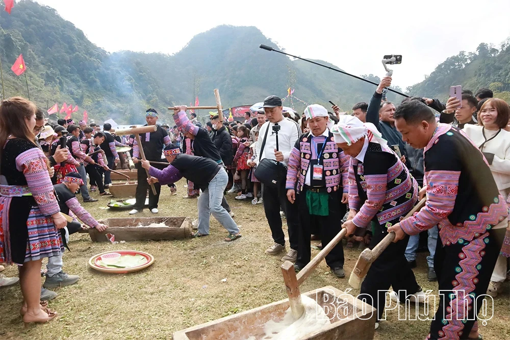 Discovering the Mountain Excursion Festival