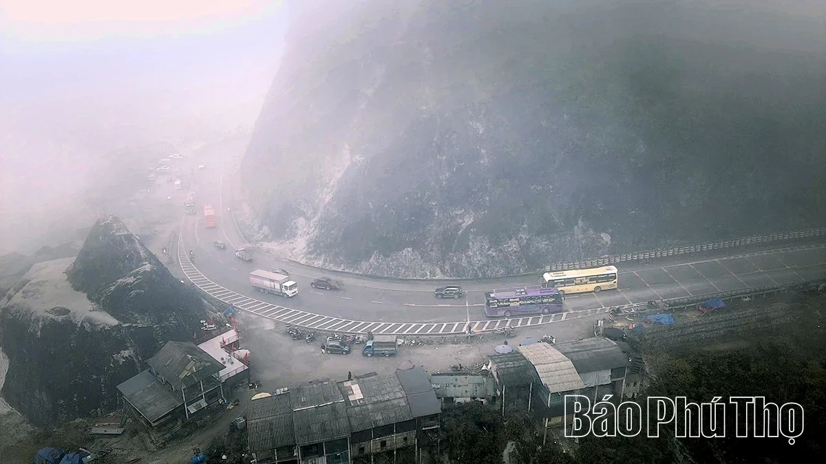 Spring Radiance on Da Trang Pass