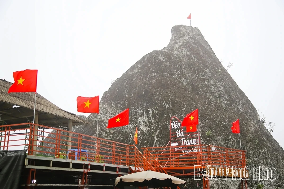 Spring Radiance on Da Trang Pass