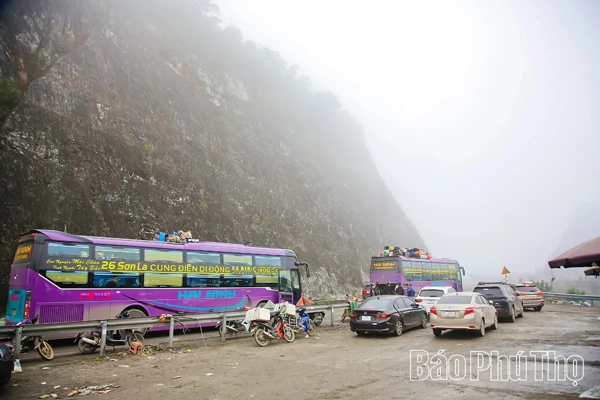 Spring Radiance on Da Trang Pass