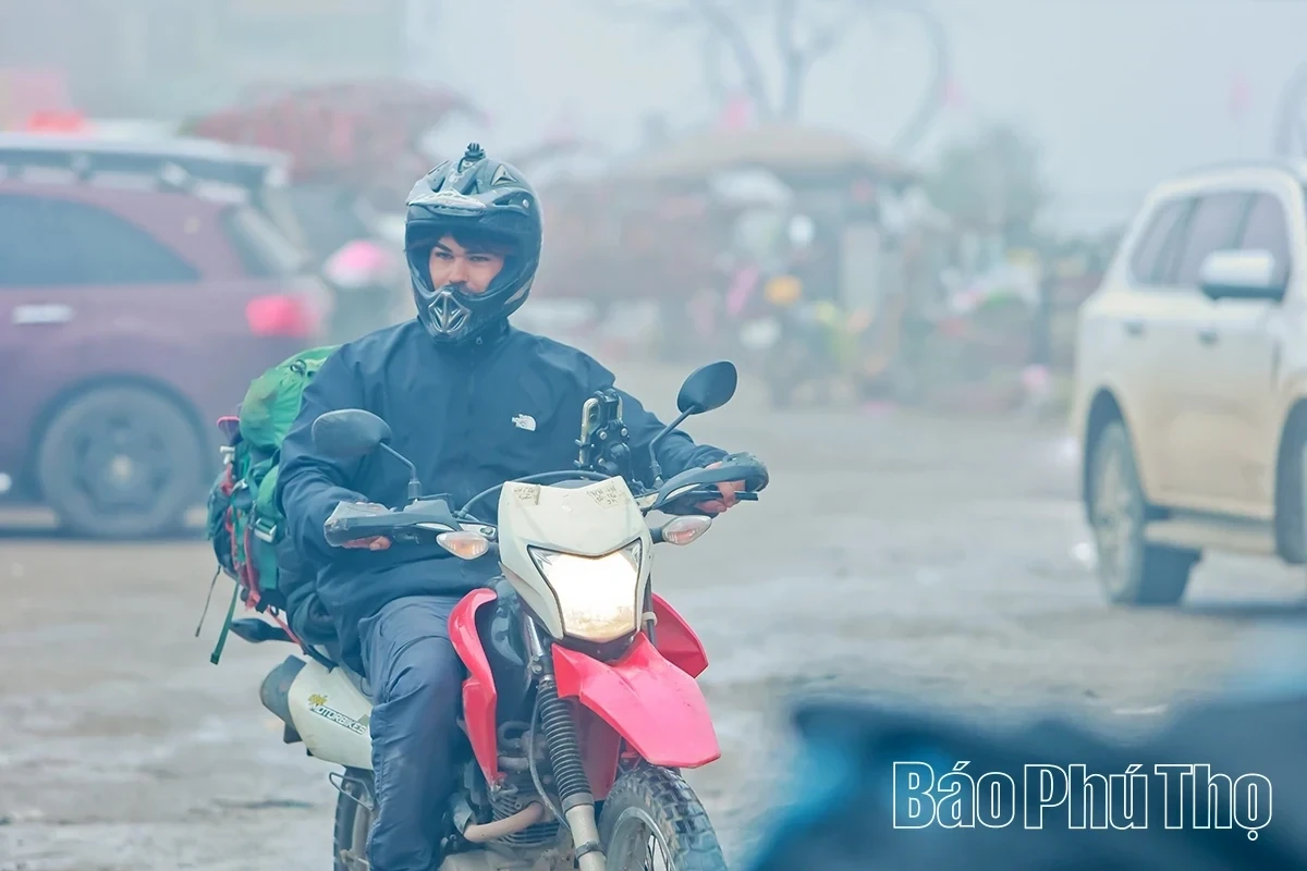 Spring Radiance on Da Trang Pass