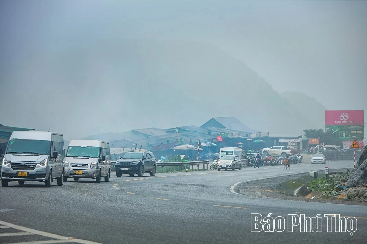 Spring Radiance on Da Trang Pass