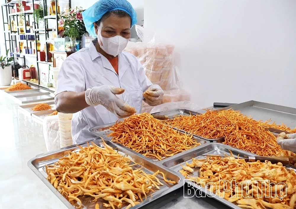 Elevating the Value of Local Agricultural Products