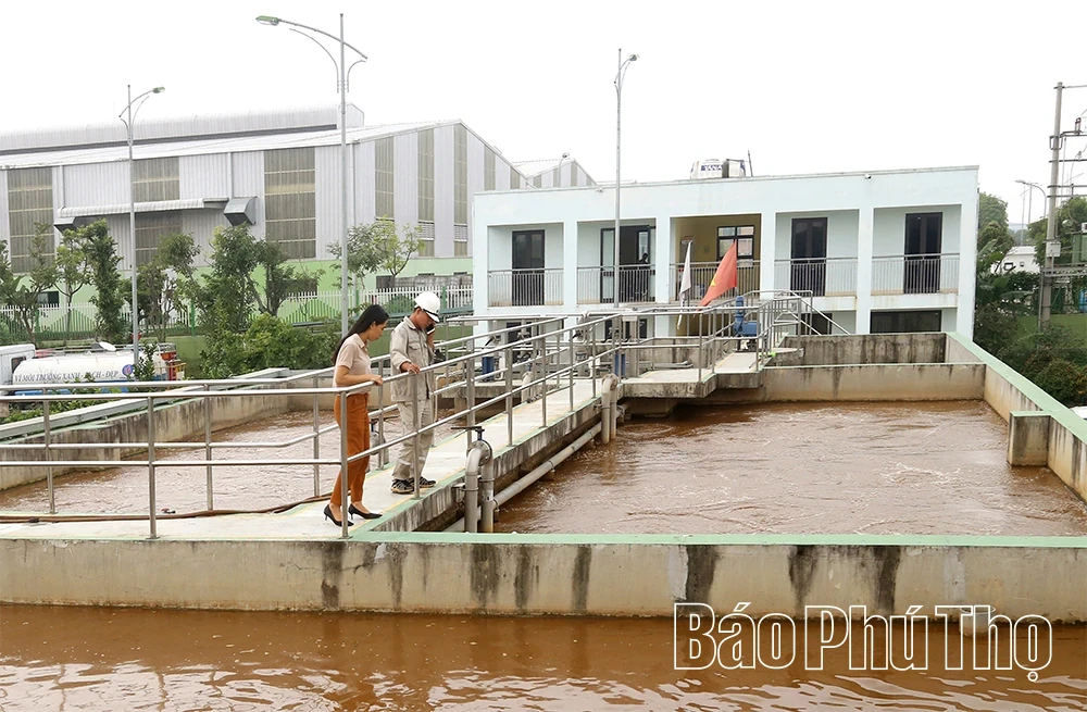 Environmental Protection in Industrial Parks and Clusters