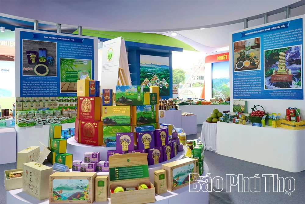 “Golden Season” Awakens the Tea Hills