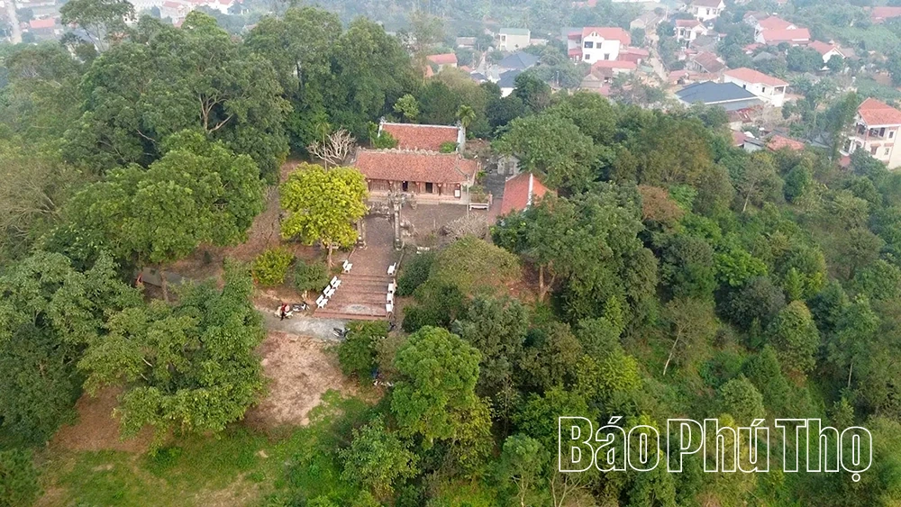 Cultural Roots of the Ancestral Land