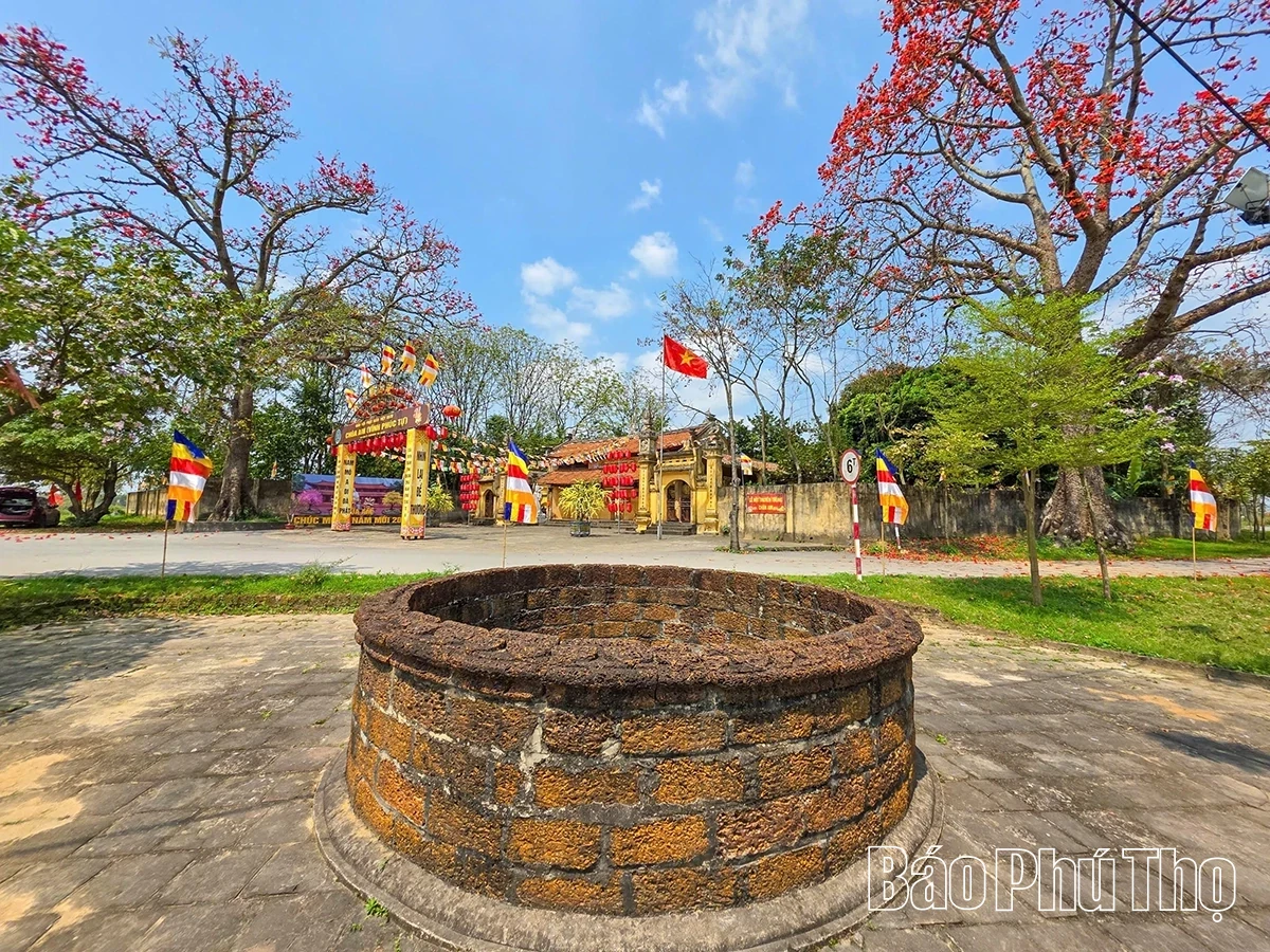 The Enchanting Red Silk Cotton Season in Son Dong