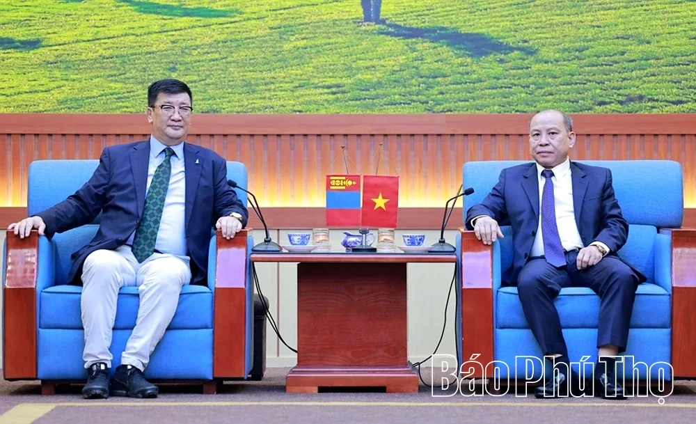 Chairman of the Provincial Peoples Council Bui Duc Hinh Receives Mongolian Ambassador to Vietnam
